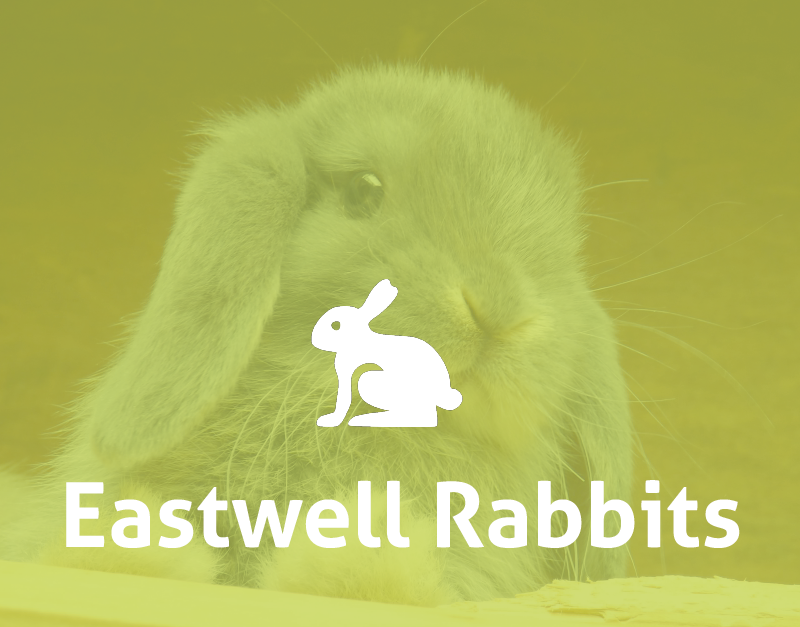 Eastwell Rabbits